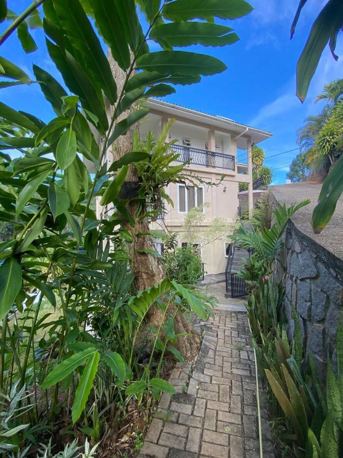 South Hill Villa Anse Royale Eksteriør billede